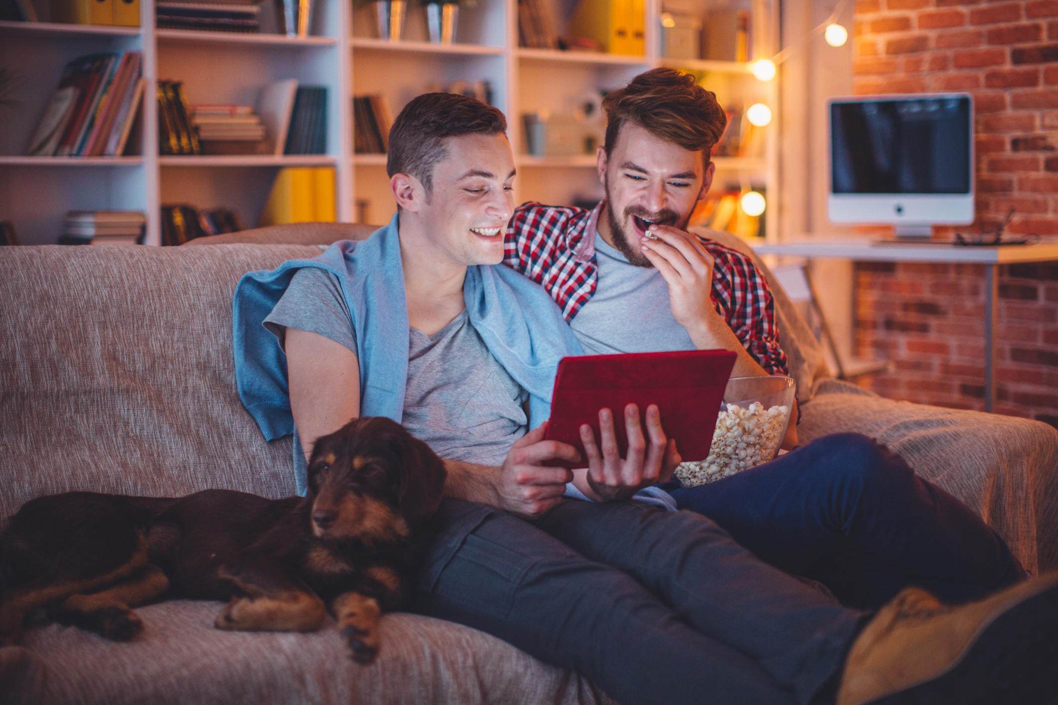 Young gay couple sitting on sofa at home with their dog. Using digital tablet. Caucasian ethnicity, blond hair, casual.